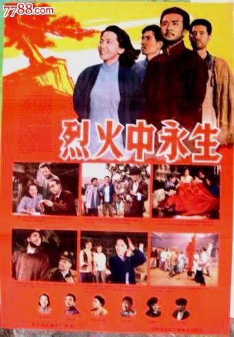 南佛罗里达大学Marketing Degree Certificate
